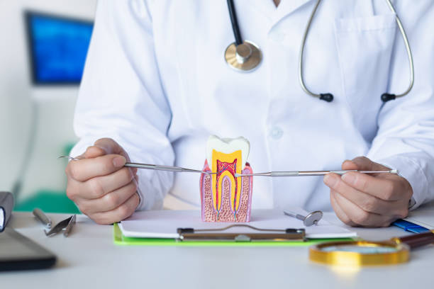 Best After-Hours Emergency Dentist in Rosamond, CA